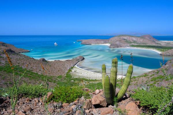 Praias do México: as melhores para visitar - Playa Balandra, La Paz