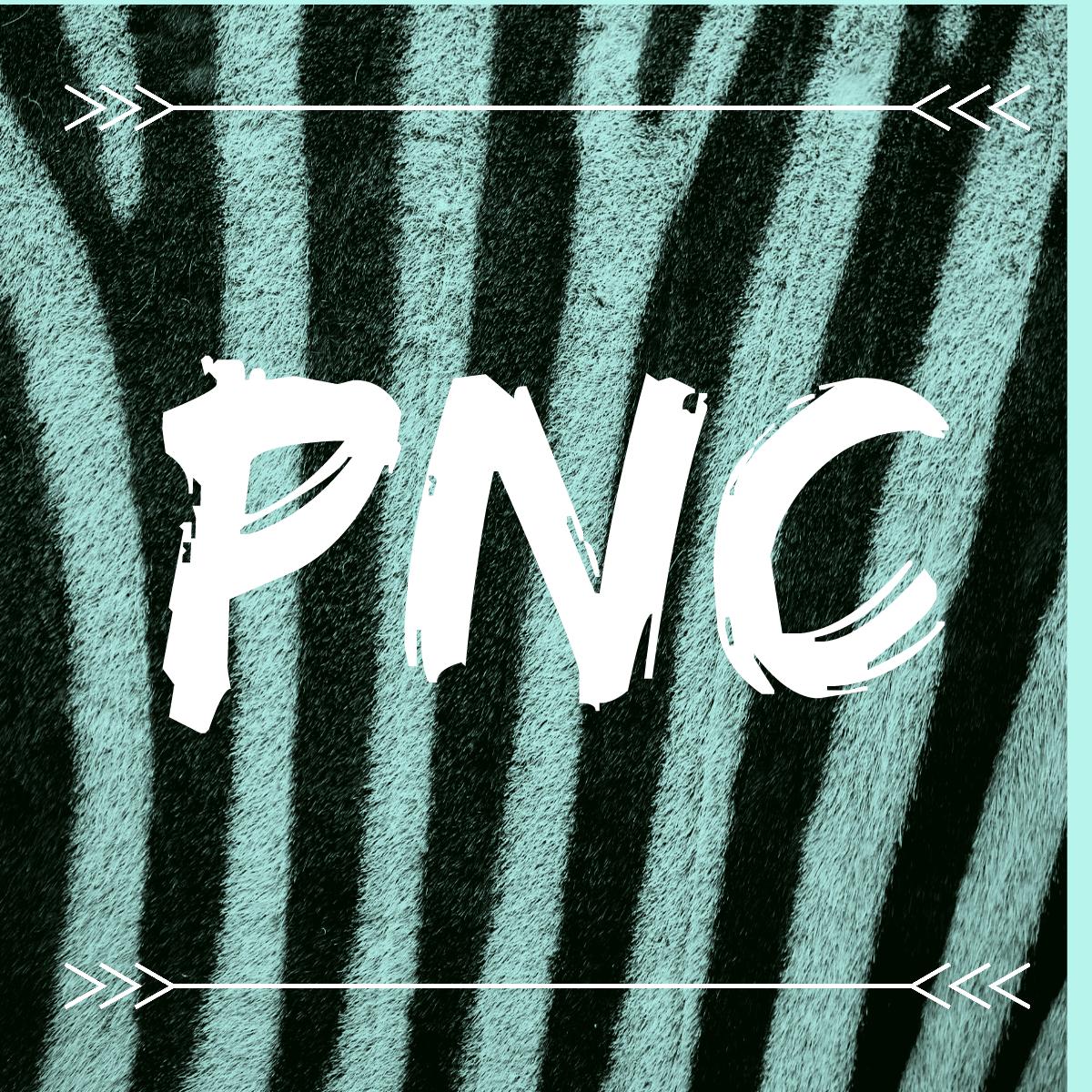 O que significa PNC