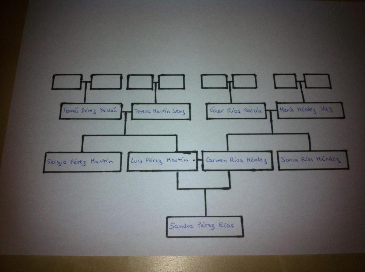 Como desenhar uma árvore genealógica de três gerações