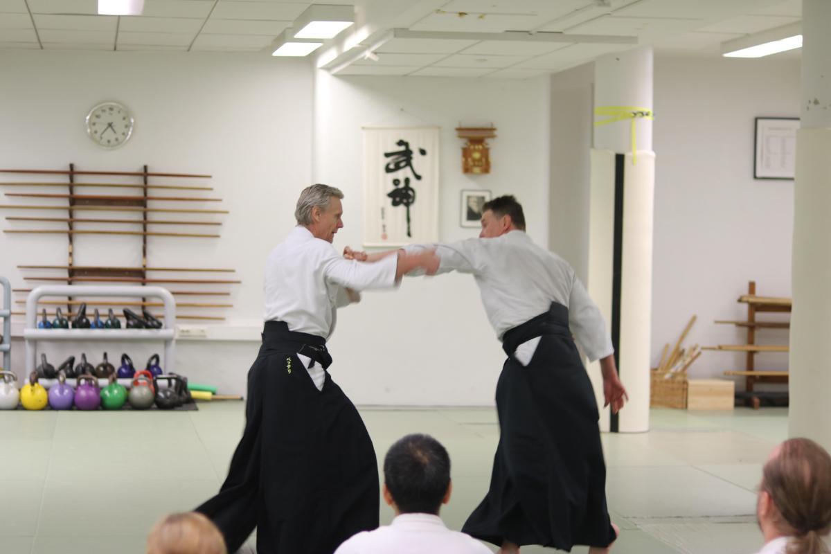 O que é aikido?