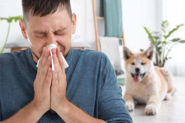 Alergia a cachorro: causas, sintomas e tratamento