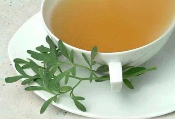 Como fazer uma infusão de arruda