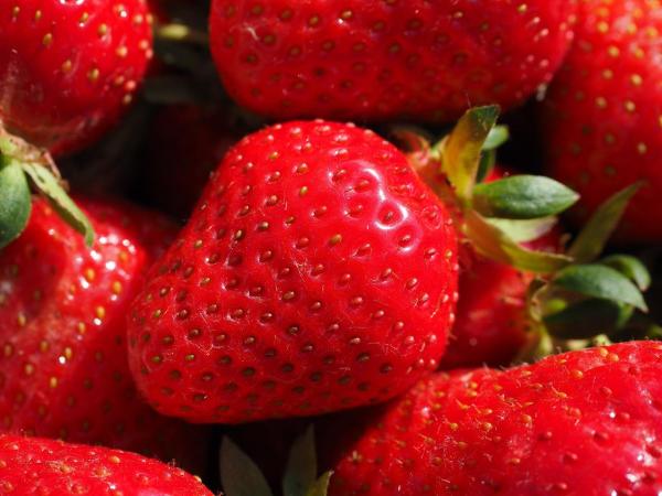 Como fazer cheesecake de morango - Passo 6