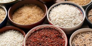 Tipos de arroz: descubra seus usos na cozinha
