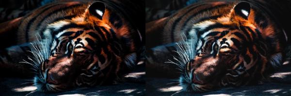 Como clarear fotos escuras - Como clarear fotos escuras com o Gimp