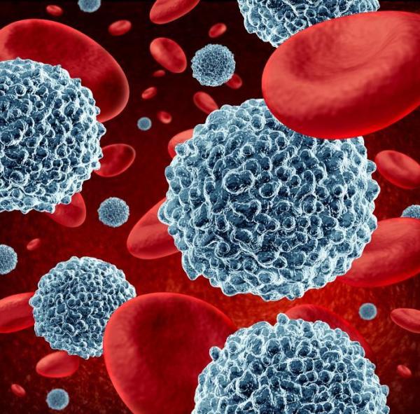 Sintomas da anisocitose - Anisocitose e anemia