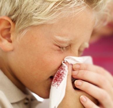 Como tratar a sinusite com terapia floral