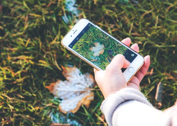 Como organizar o feed do Instagram pelo PC - Como fotografar paisagens para postar no Instagram