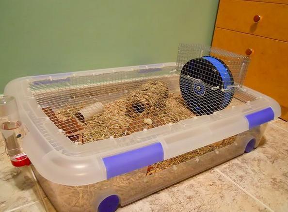 Como fazer uma gaiola para hamster