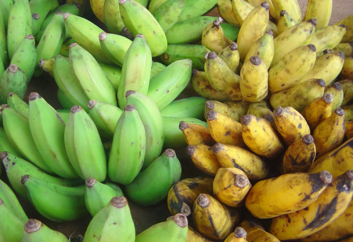 Como fazer banana da terra