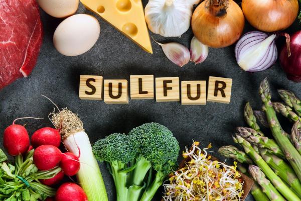 Alimentos ricos em enxofre