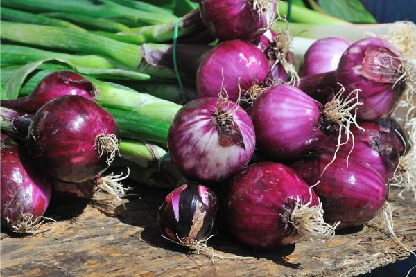 Alimentos ricos em enxofre - Cebola vermelha ou roxa
