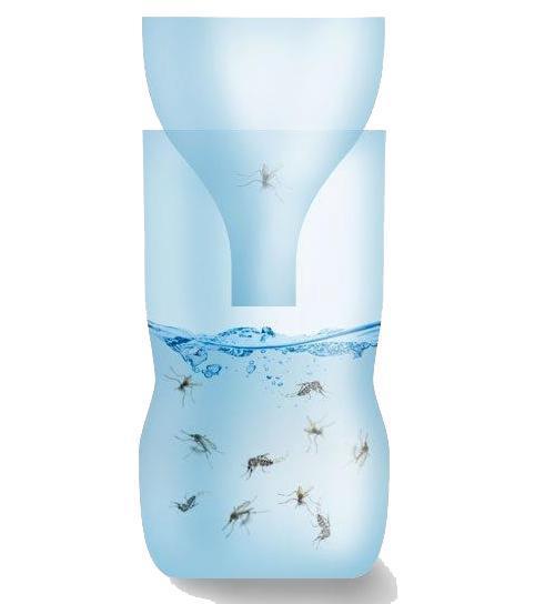 Como fazer uma armadilha para mosquitos