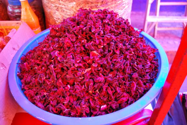 Como secar a flor de hibisco para fazer chá? - Como desidratar flores passo a passo